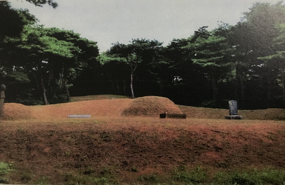 삼산 이태중의 묘소는 홍성군 은하면 목현리 산17번지에 위치해 있다. (사)홍주향토문화연구회 자료집에서 캡쳐