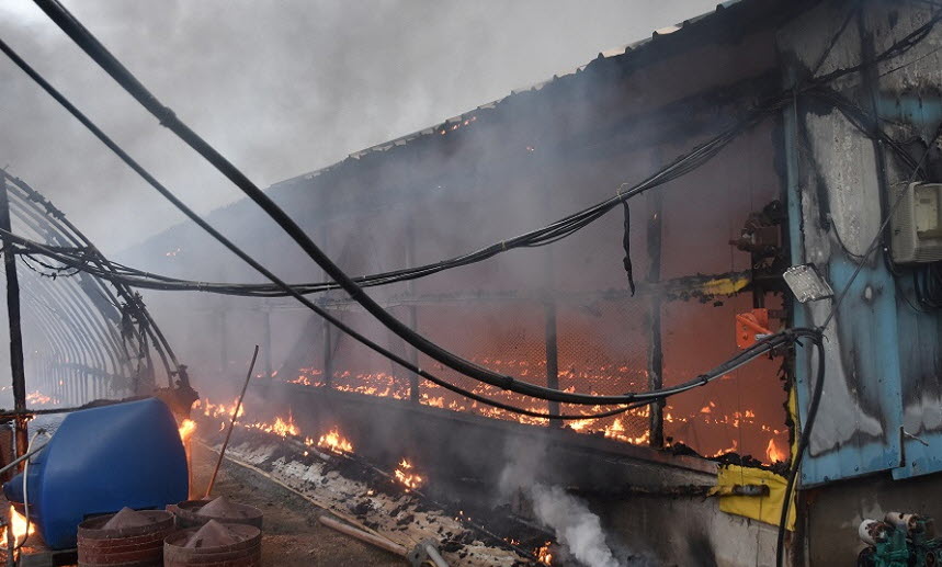 지난 6월 공주시 신풍면 한 양계장에서 전기적 요인에 의한 화재가 발생했다. 충남소방본부 제공